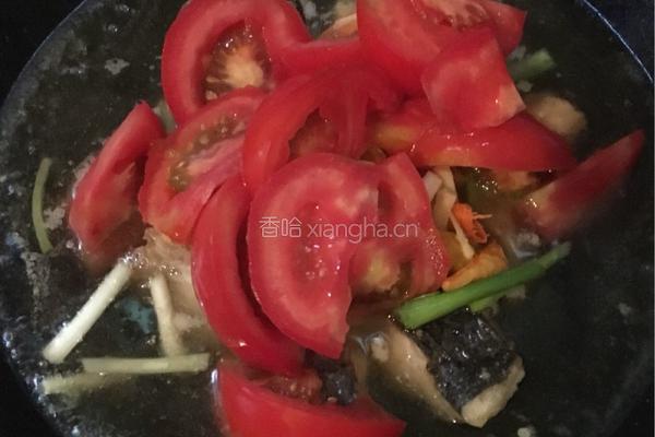 番茄香葱焖鱼尾的做法图解6