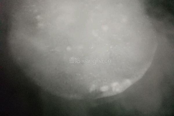 酒酿圆子的做法图解2
