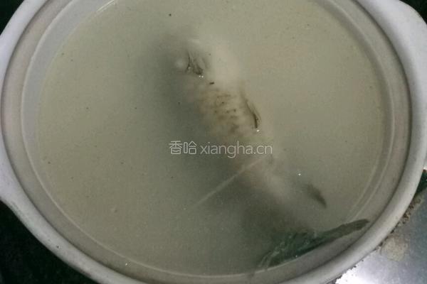 鲫鱼木耳汤的做法图解3