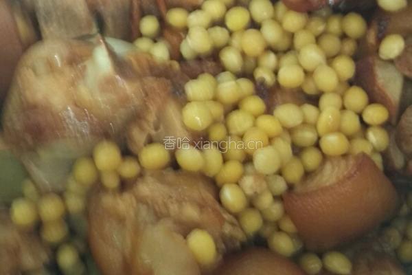 红烧黄豆猪蹄的做法图解6