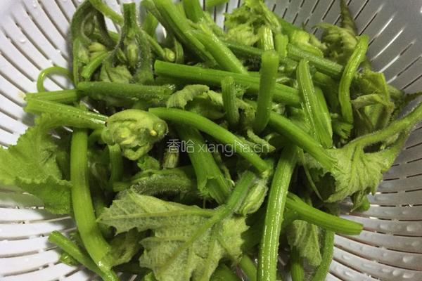 辣椒炒南瓜藤尖的做法图解3