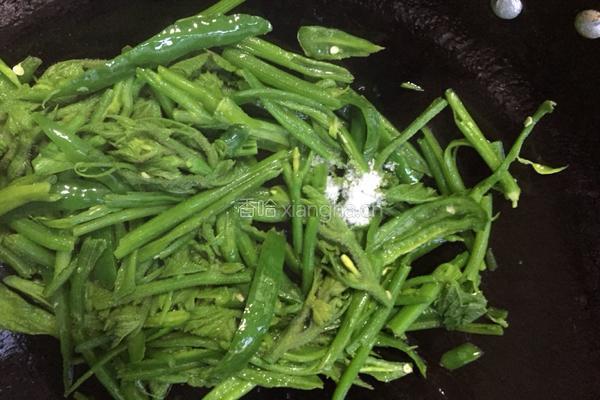 辣椒炒南瓜藤尖的做法图解9