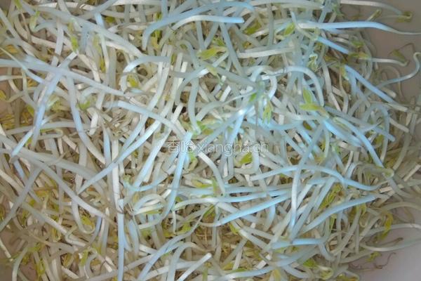 韭菜炒豆芽的做法图解2