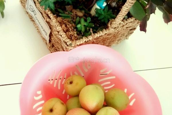 杏梅酒的做法图解1