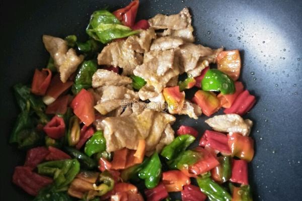 辣椒肉片的做法图解11