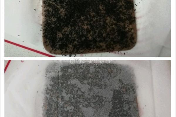 粗粮年轮小卷饼干的做法图解5