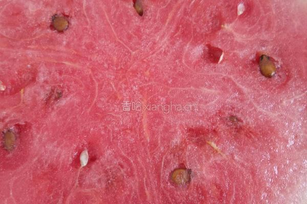 西瓜果冻的做法图解1