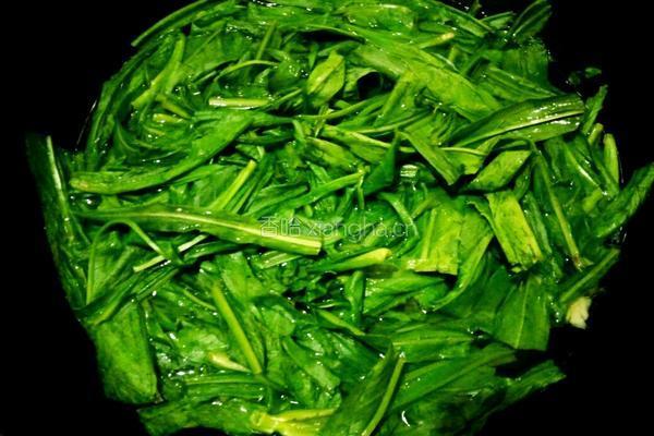 炒苦麦菜的做法图解4