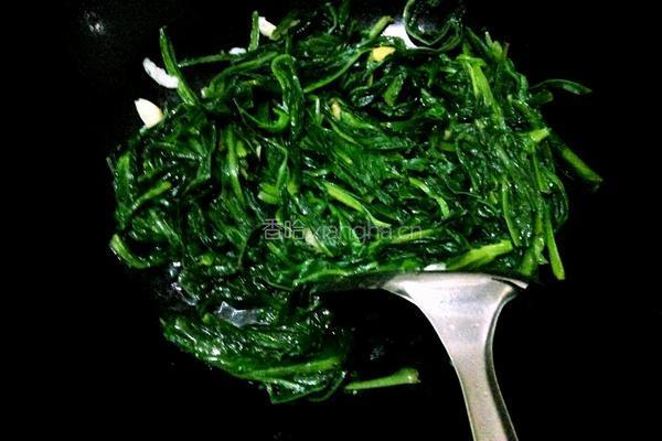 炒苦麦菜的做法图解6