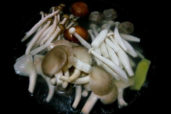 菌菇汤的做法图解6