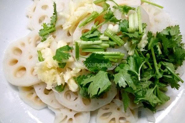 凉拌莲藕的做法图解4