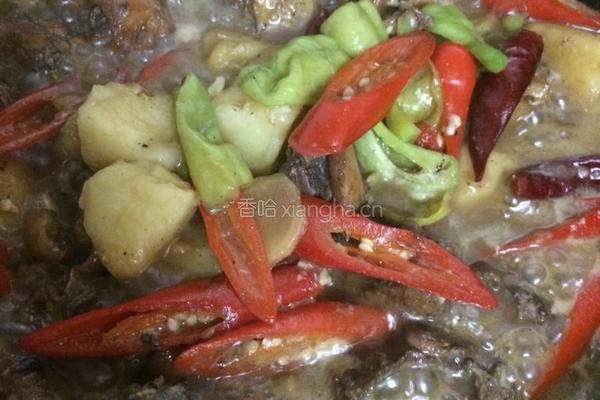 家常土豆炖鸡的做法图解12