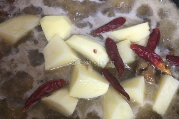 家常土豆炖鸡的做法图解10