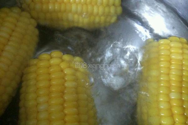 水煮玉米的做法图解3