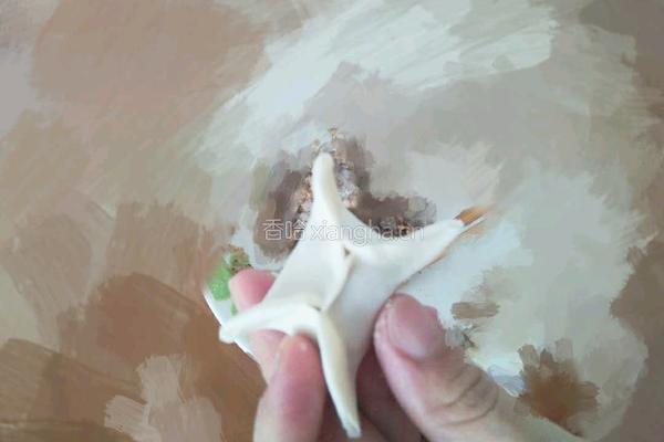 鲜虾饺(含饺子皮的做法)的做法图解8