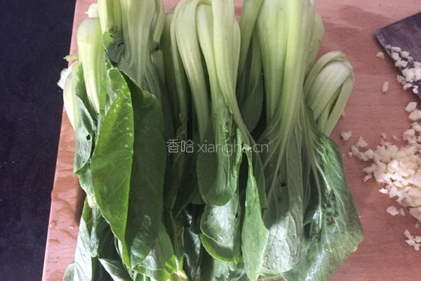 蒜蓉上海青的做法图解2