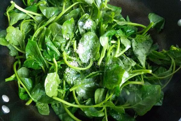 清炒豆腐菜的做法图解6