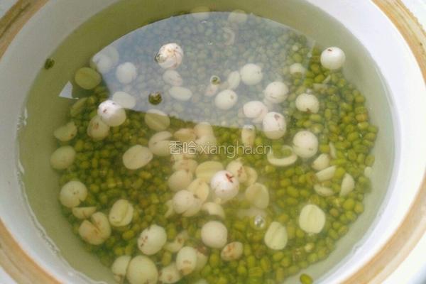 绿豆莲子汤的做法图解4