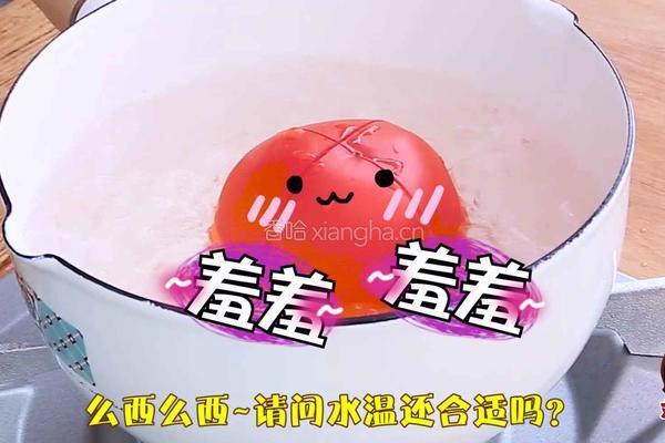 网红一个番茄焖饭（宿舍党福音）的做法图解3