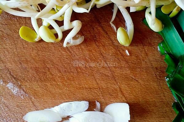 炒豆芽的做法图解3