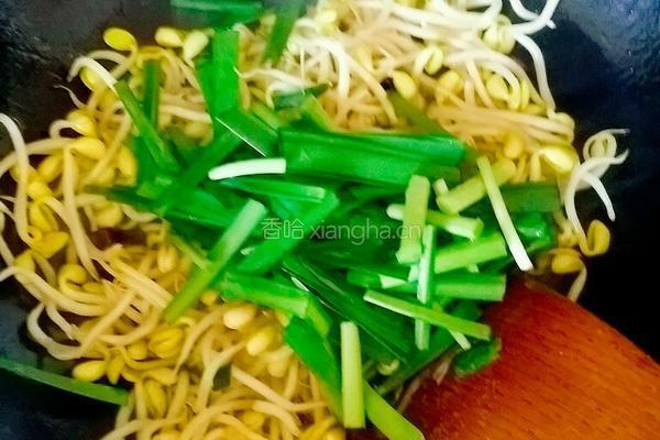 炒豆芽的做法图解7