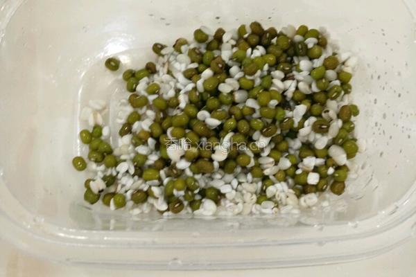 绿豆薏米粥的做法图解3