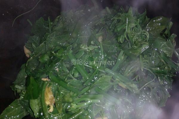 清炒洋瓜尖的做法图解4