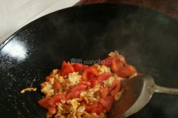 番茄炒蛋盖浇饭的做法图解4