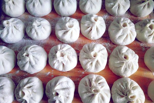猪肉茴香包子的做法图解28