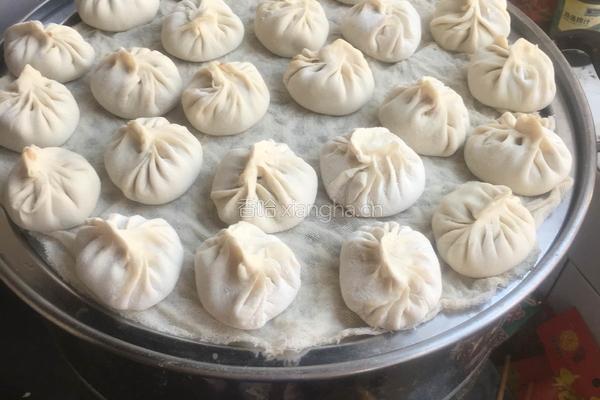 天津狗不理包子的做法图解10