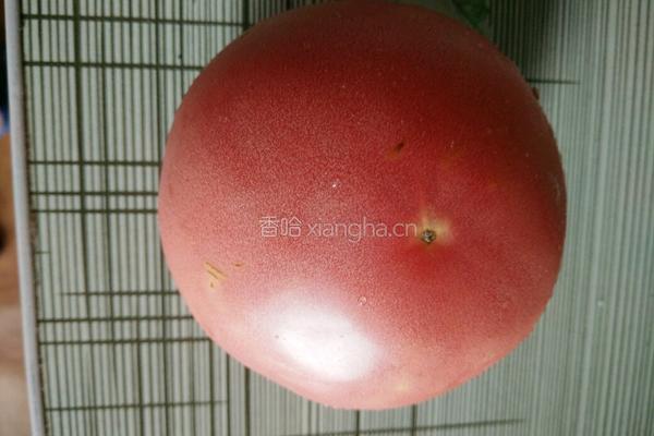 冰镇西红柿的做法图解1