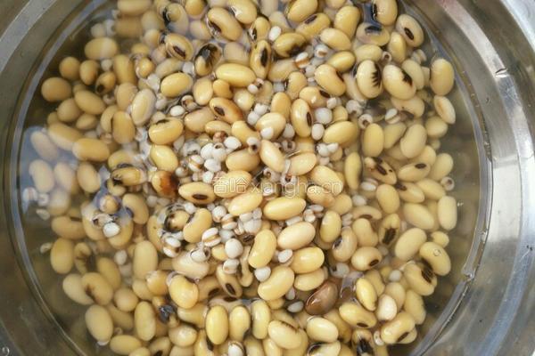 黄花菜黄豆薏米筒骨汤的做法图解1