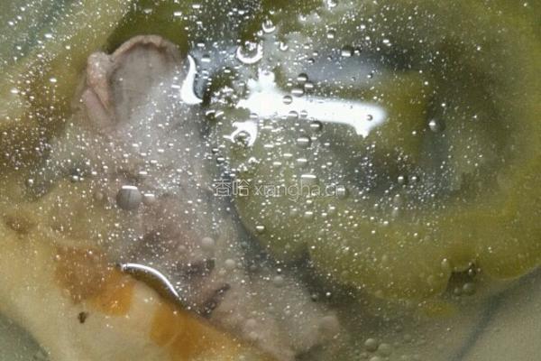 花胶排骨炖凉瓜