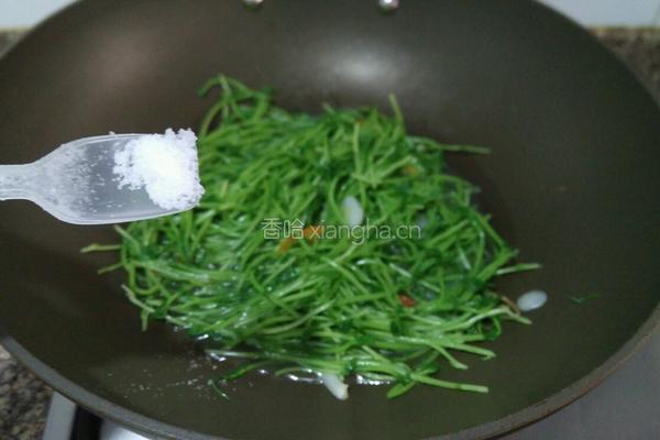 上汤豆苗的做法图解9