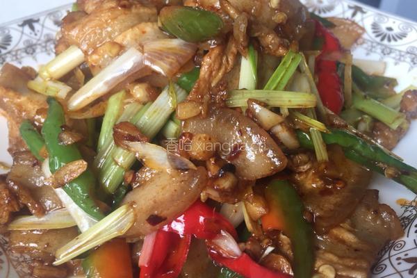 老干妈蒜香回锅肉的做法图解4