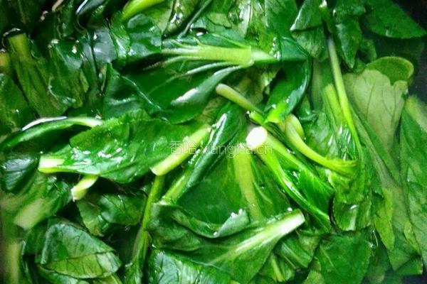 清炒小油菜的做法图解3