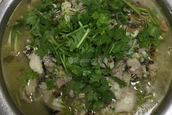 酸菜黑鱼的做法图解8