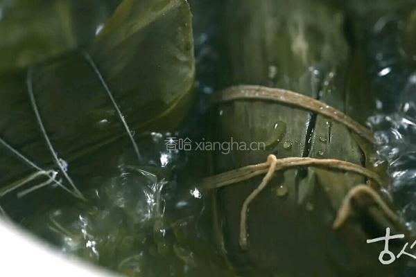 赐绯含香粽的做法图解4