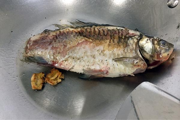 祛湿汤之赤小豆煲鲫鱼的做法图解5