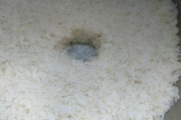 自制米酒的做法图解3