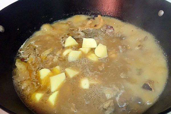鸡块炖土豆的做法图解9
