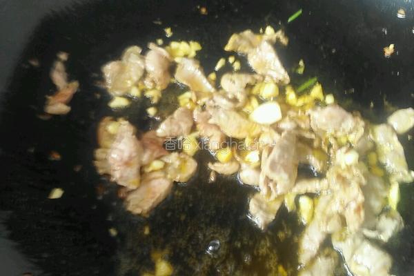 白茹炒肉的做法图解4