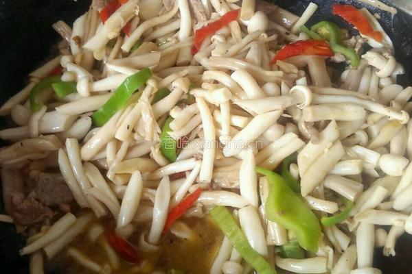 白茹炒肉的做法图解6