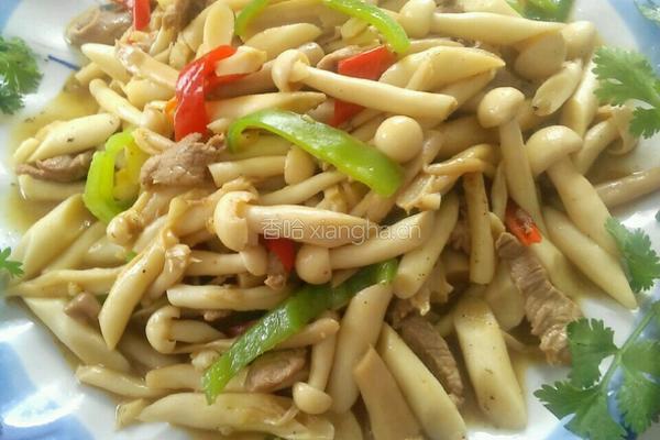 白茹炒肉的做法图解7