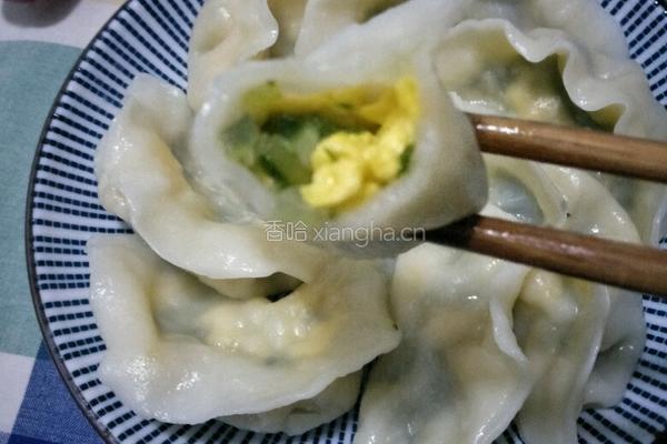 黄瓜鸡蛋馅水饺的做法图解16