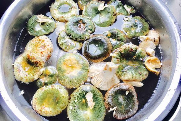 芹菜炒青头菌的做法图解2