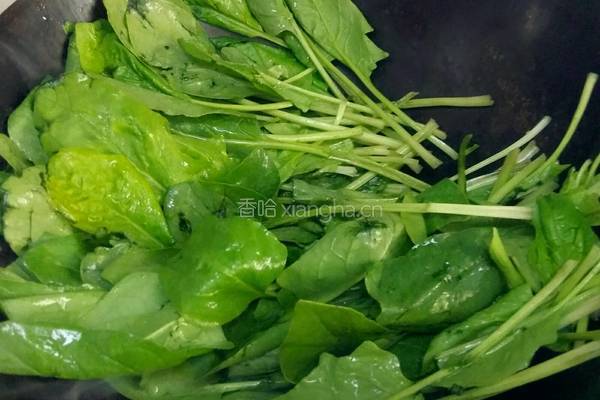 素炒菠菜的做法图解2