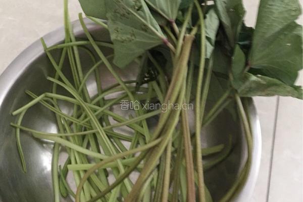肉丝炒蕃薯藤的做法图解2