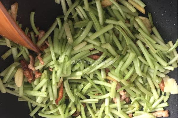 肉丝炒蕃薯藤的做法图解6