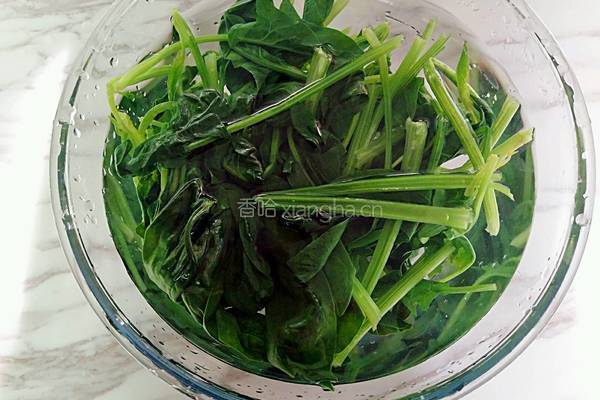 花生米拌菠菜的做法图解4